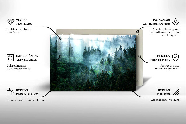 Kalené sklo za sporák Les v hmle