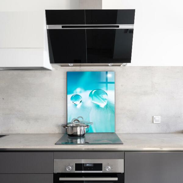 Nástenný panel  Rosa na jemnom pierku