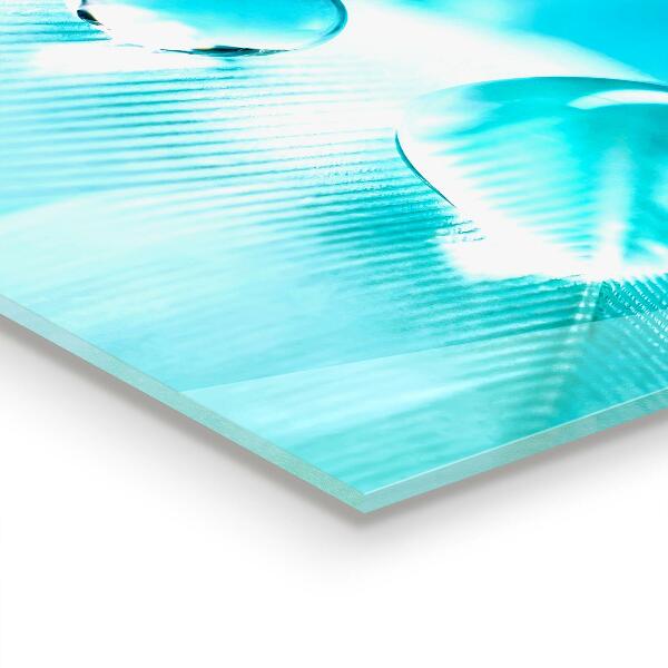 Nástenný panel  Rosa na jemnom pierku