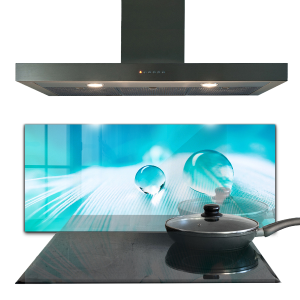 Nástenný panel  Rosa na jemnom pierku