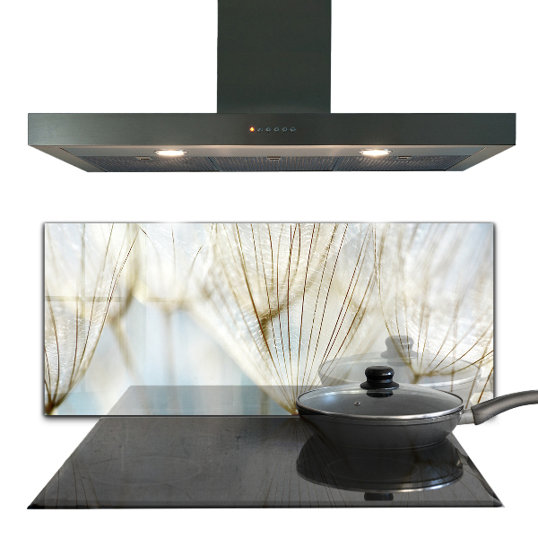 Sklenený obklad do kuchyne Púpava púpava vo vetre