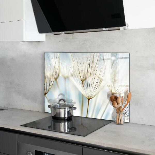 Sklenený obklad do kuchyne Púpava púpava vo vetre