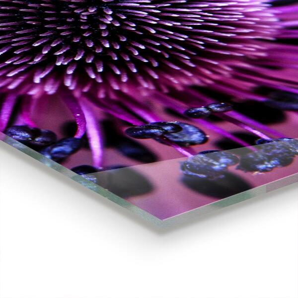 Sklenený obklad do kuchyne Fialový kvet