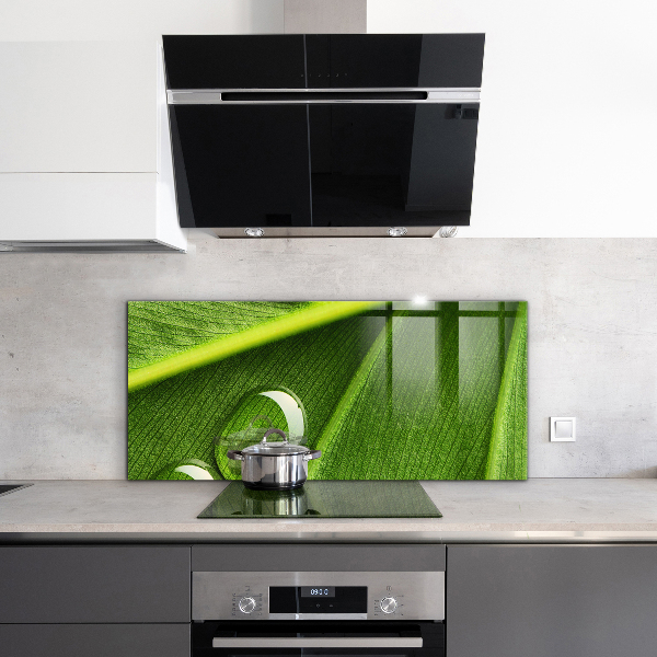 Sklenený obklad do kuchyne Kvapka rosy na liste