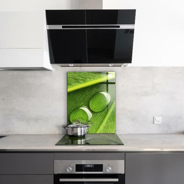 Sklenený obklad do kuchyne Kvapka rosy na liste