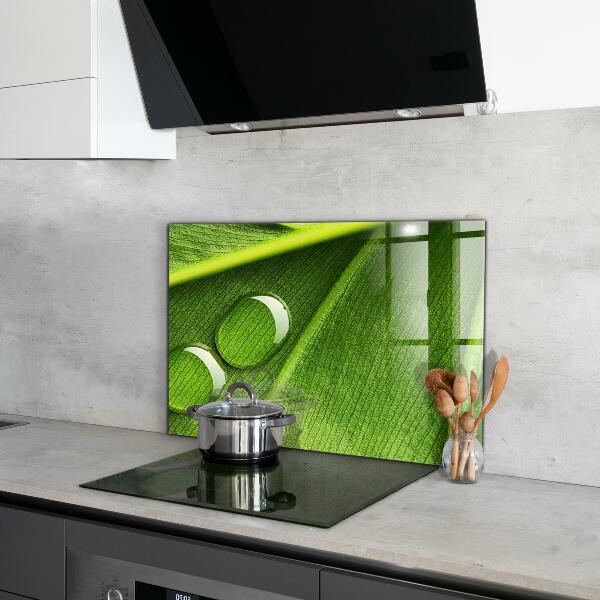 Sklenený obklad do kuchyne Kvapka rosy na liste