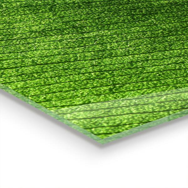 Sklenený obklad do kuchyne Kvapka rosy na liste