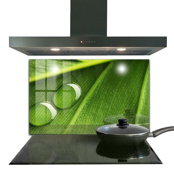 Sklenený obklad do kuchyne Kvapka rosy na liste