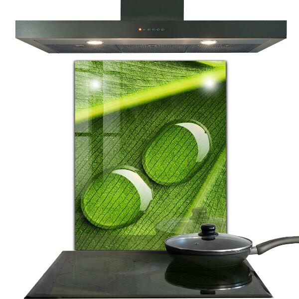 Sklenený obklad do kuchyne Kvapka rosy na liste