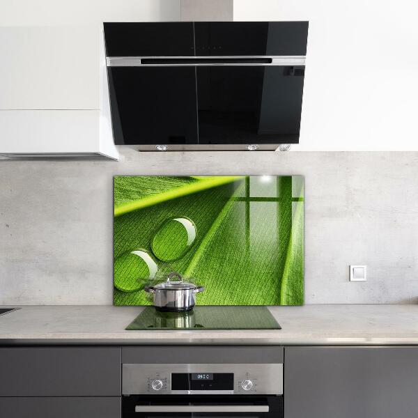 Sklenený obklad do kuchyne Kvapka rosy na liste