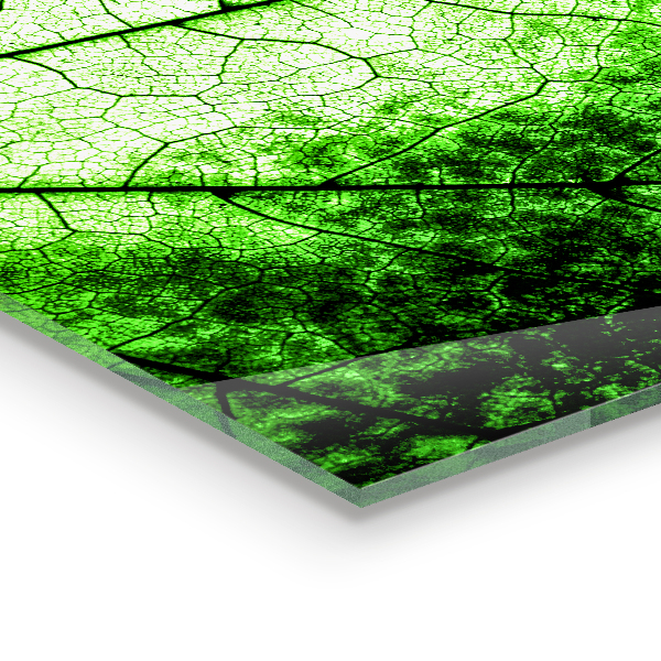 Sklenený obklad do kuchyne Textúra zeleného listu