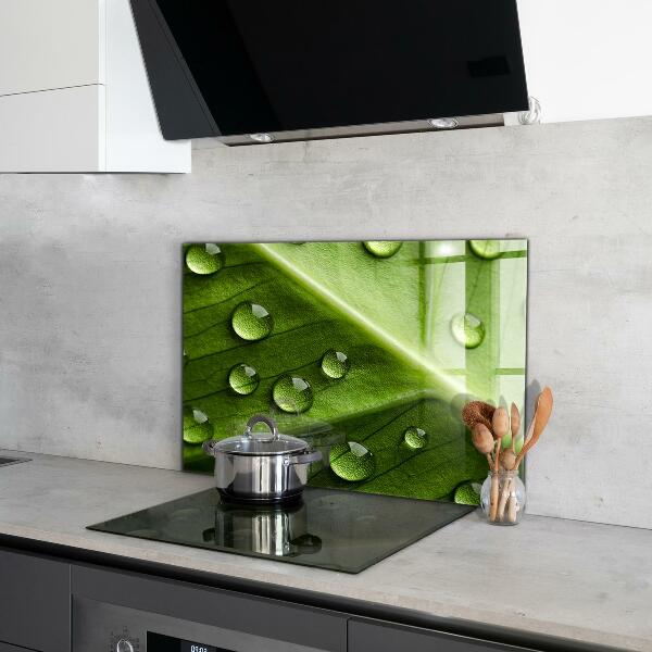 Sklenený obklad do kuchyne List s kvapkami rannej rosy
