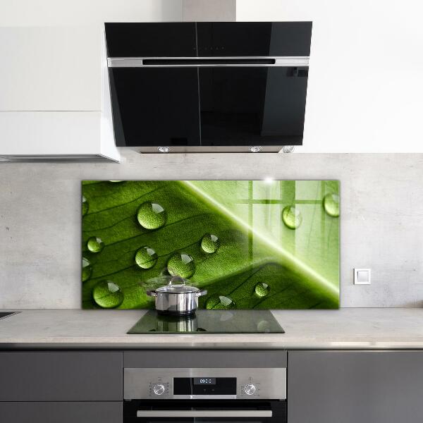 Sklenený obklad do kuchyne List s kvapkami rannej rosy