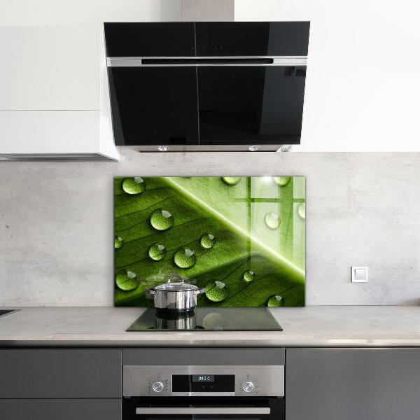 Sklenený obklad do kuchyne List s kvapkami rannej rosy