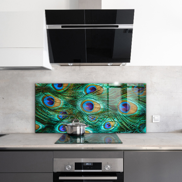 Nástenný panel  Pávie perie krásna príroda