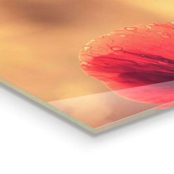 Sklenený obklad do kuchyne Vintage maková rastlina