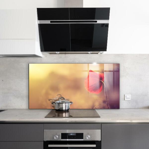 Sklenený obklad do kuchyne Vintage maková rastlina