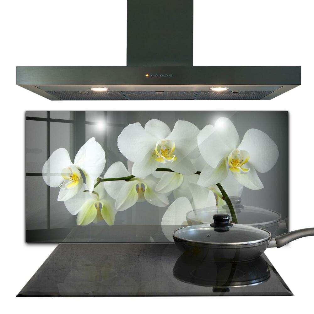 Sklenený obklad do kuchyne Biela orchidea na čiernom pozadí