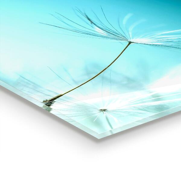 Nástenný panel  Púpava púpava vo vetre