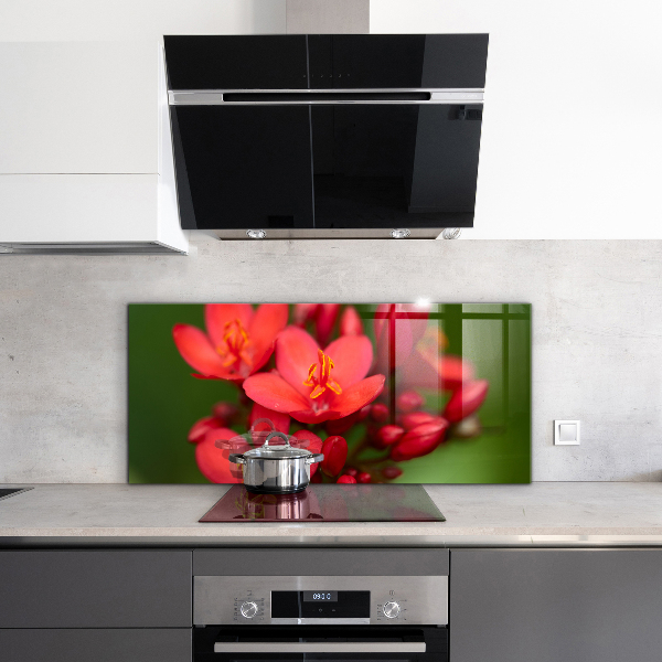 Nástenný panel  Kvitnúce púčiky kvetov