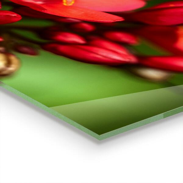 Nástenný panel  Kvitnúce púčiky kvetov