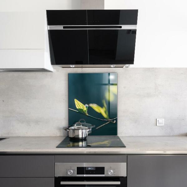 Nástenný panel  Lesklý list na konári