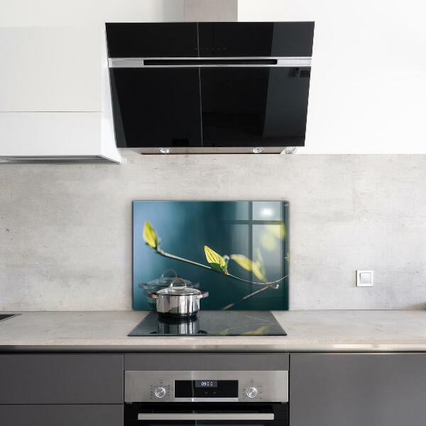 Nástenný panel  Lesklý list na konári