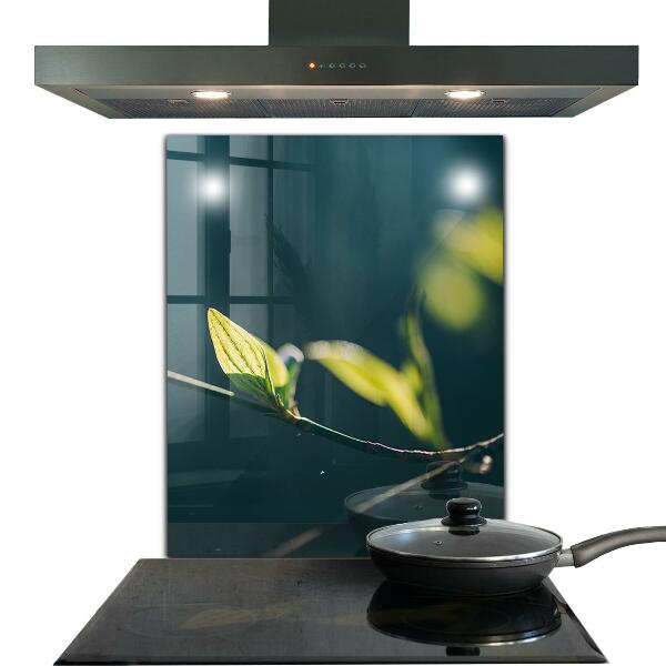 Nástenný panel  Lesklý list na konári