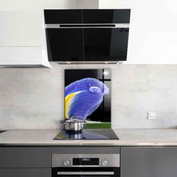 Nástenný panel  Kvet fialovej dúhovky