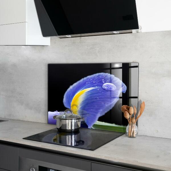 Nástenný panel  Kvet fialovej dúhovky