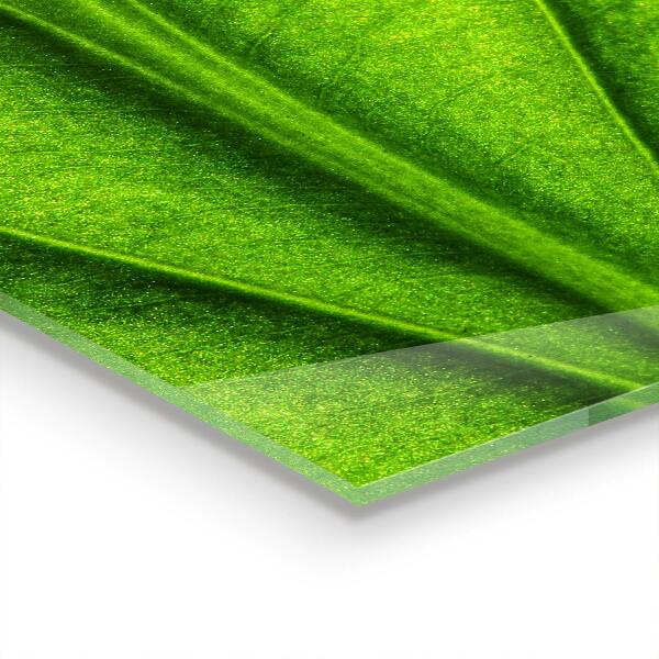 Nástenný panel  Podrobnosti o zelenom liste