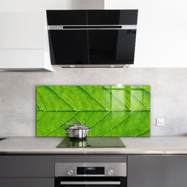 Nástenný panel  Podrobnosti o jemných listoch