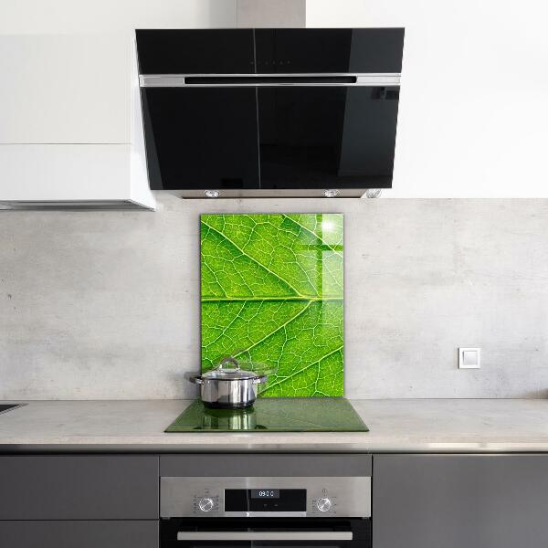 Nástenný panel  Podrobnosti o jemných listoch