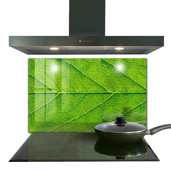 Nástenný panel  Podrobnosti o jemných listoch