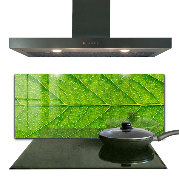 Nástenný panel  Podrobnosti o jemných listoch