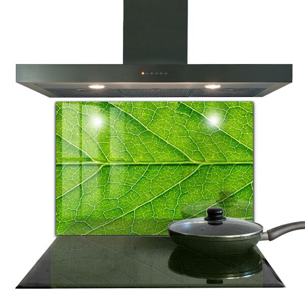 Nástenný panel  Podrobnosti o jemných listoch