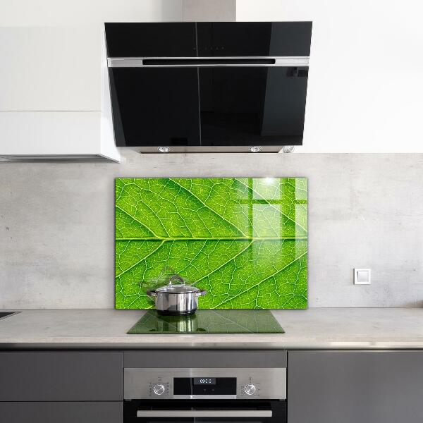 Nástenný panel  Podrobnosti o jemných listoch