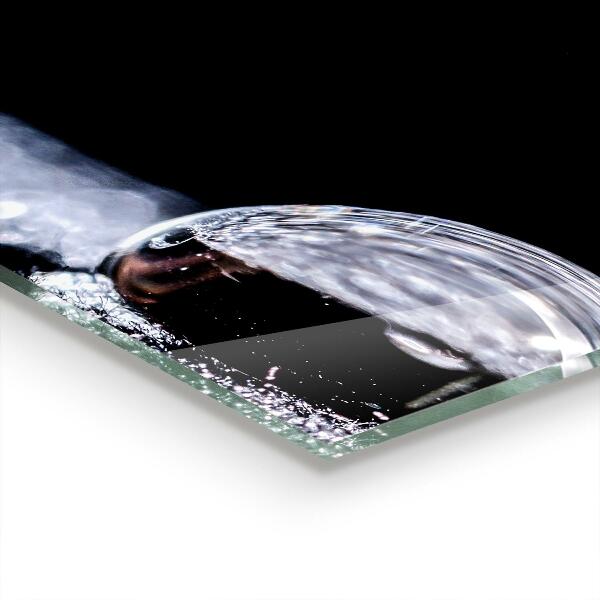 Nástenný panel  Kvapka rosy ráno