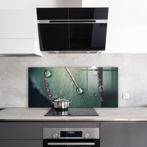 Nástenný panel  List s kvapkou rosy