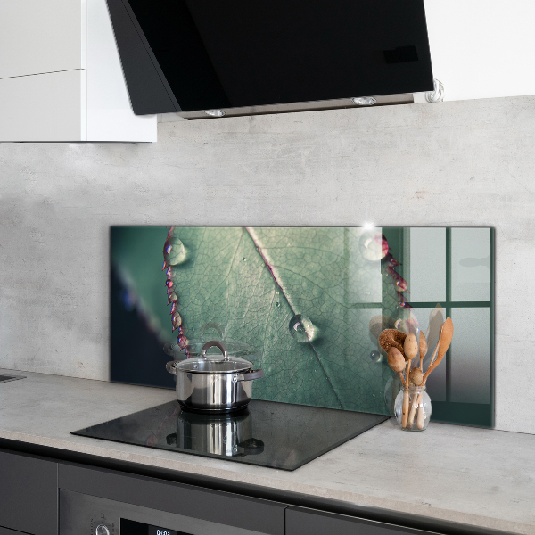 Nástenný panel  List s kvapkou rosy