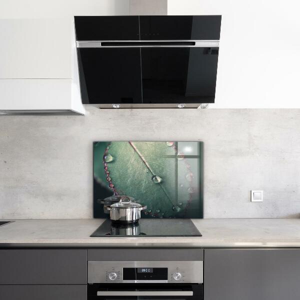 Nástenný panel  List s kvapkou rosy