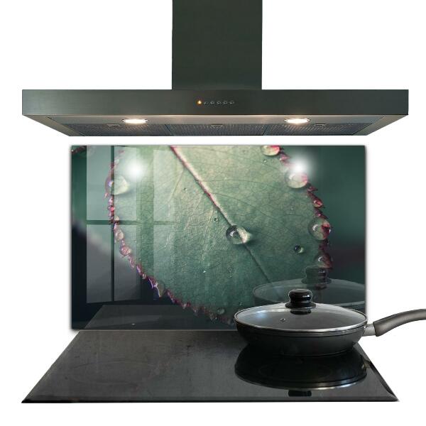 Nástenný panel  List s kvapkou rosy