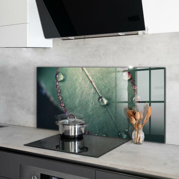 Nástenný panel  List s kvapkou rosy