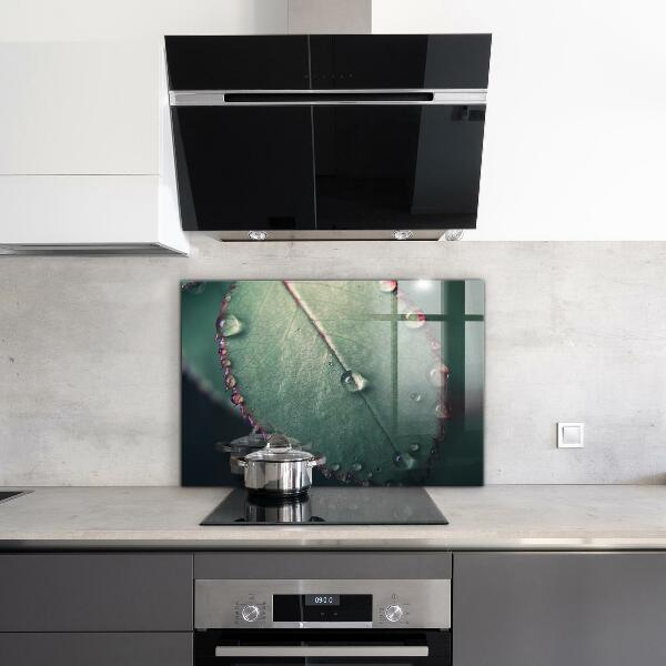 Nástenný panel  List s kvapkou rosy