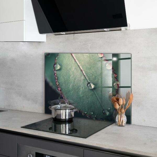 Nástenný panel  List s kvapkou rosy