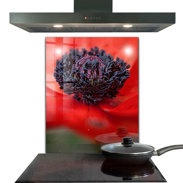 Nástenný panel  Detaily červeného maku