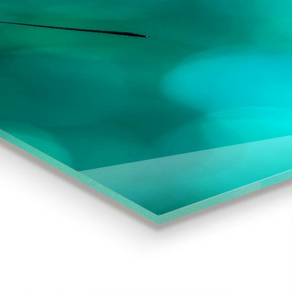 Sklenený obklad do kuchyne Krásny motýľ v prírode