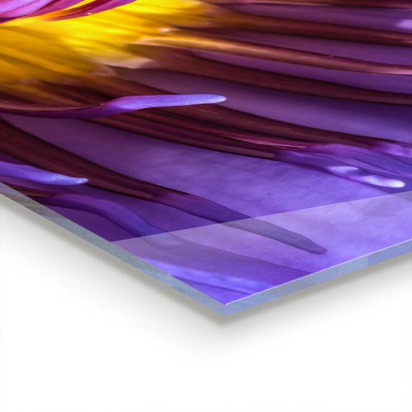 Nástenný panel  Podrobnosti o fialovom kvete