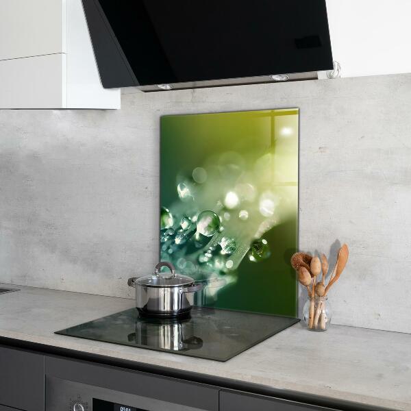 Nástenný panel  Rosa na zelených listoch