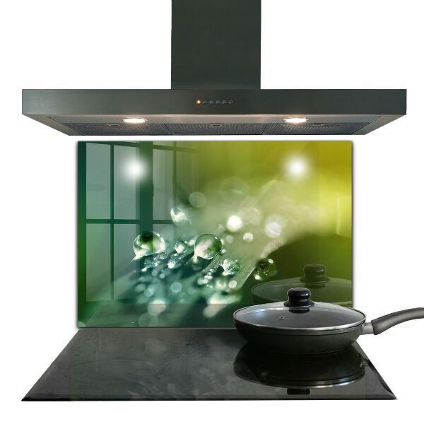 Nástenný panel  Rosa na zelených listoch